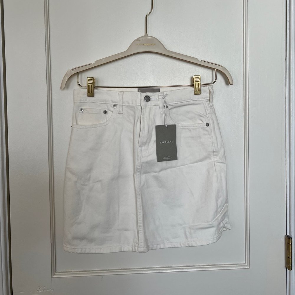 Everlane Denim Skirt